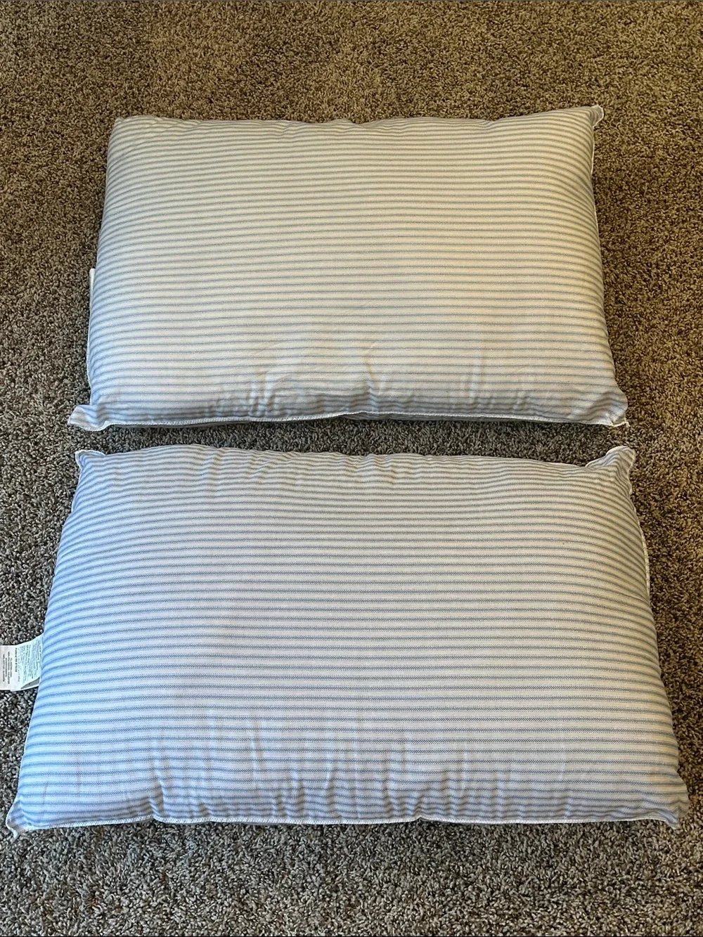 Hollander Live Comfortably Pillows 20x28 - Standard/Queen Set of 2